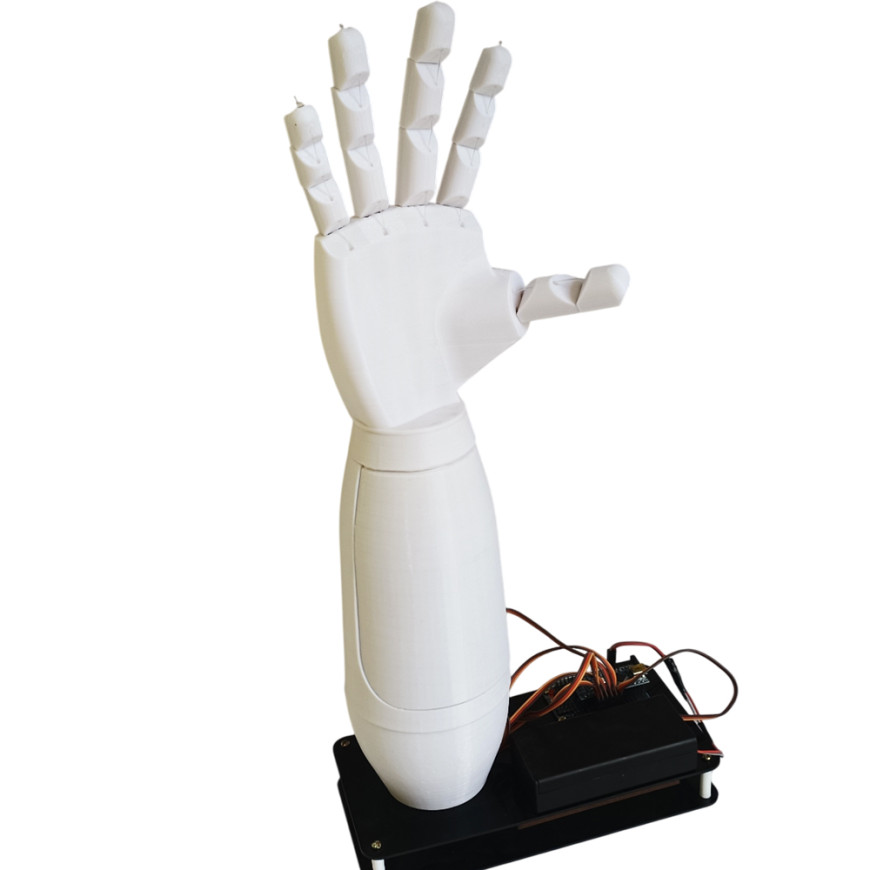 Fully Assembled model
