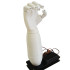 AI Based Robotic Prosthetic Hand with Wrist rotation, Fully Assembled with Software